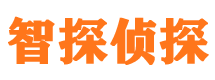 阳新市侦探调查公司